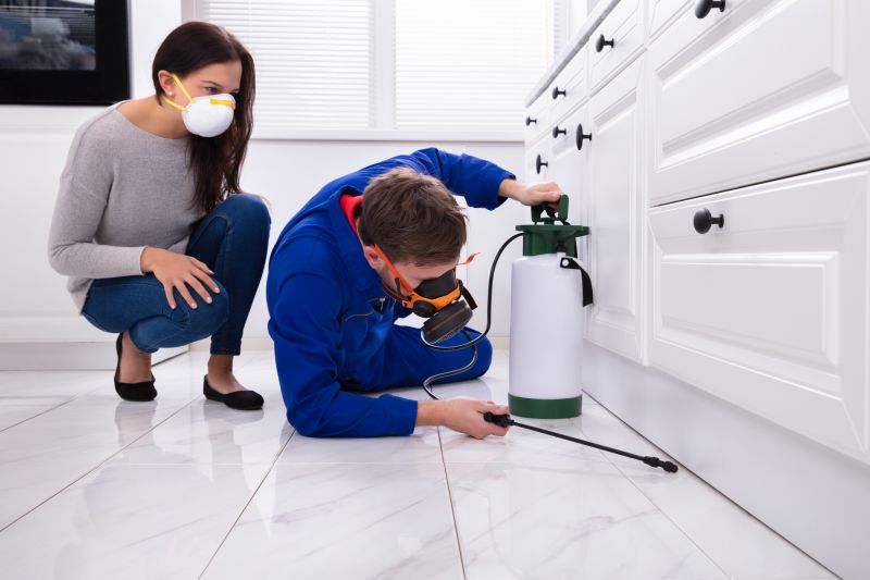 Bug Removal Service in Frisco, TX