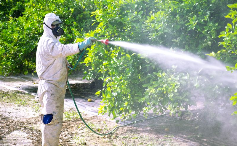 Fumigation Service in Asheville, NC