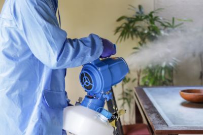 Fumigation Service in Fayetteville, NC