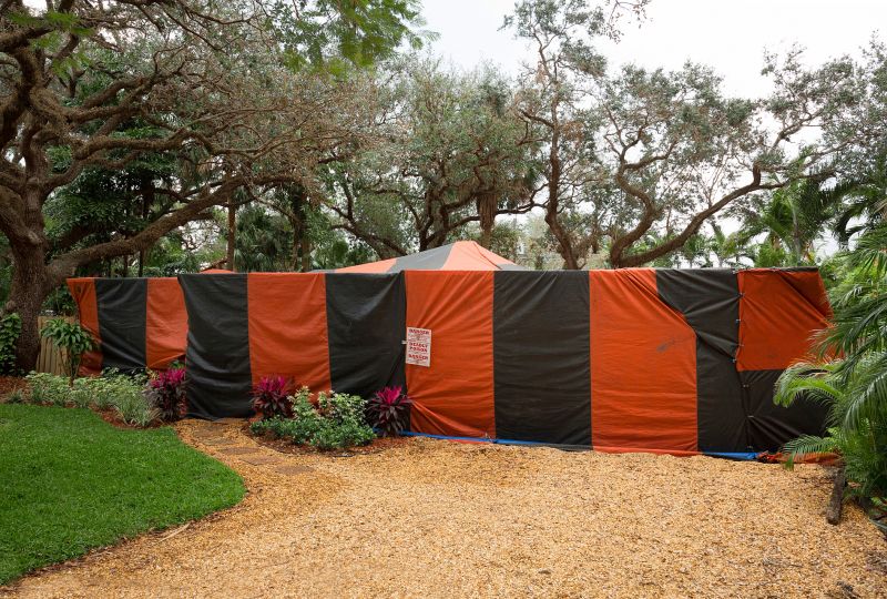 Termite Tenting in Ann Arbor, MI