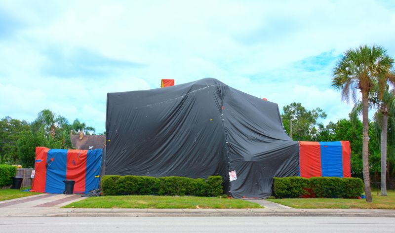 Termite Tenting in Toledo, OH