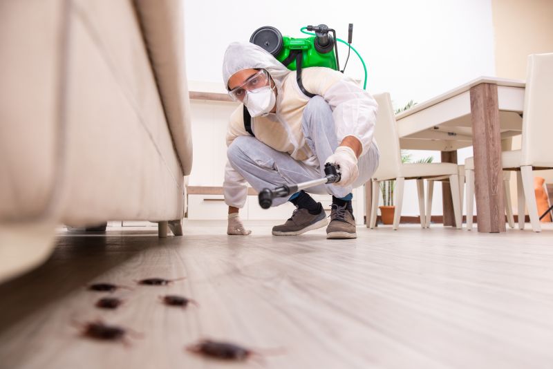Bed Bug Extermination