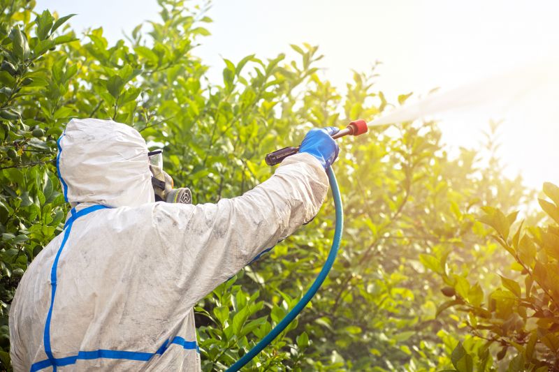 Pest Fumigation Service in Phoenix, AZ
