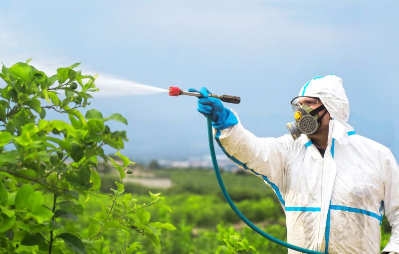Pest Fumigation Service in Marietta, GA