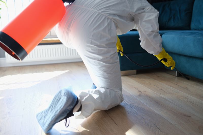 Spider Fumigation Service in Wilmington, NC