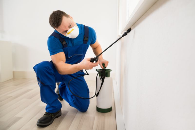 Spider Mite Extermination in Katy, TX