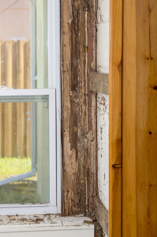 Wdo Inspection Service in Katy, TX