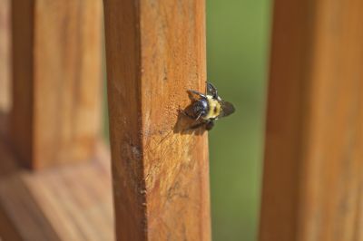 Protection from Secondary Pests